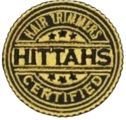 Camp Seals sponsor logo.
