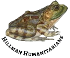 Camp Seals sponsor logo.